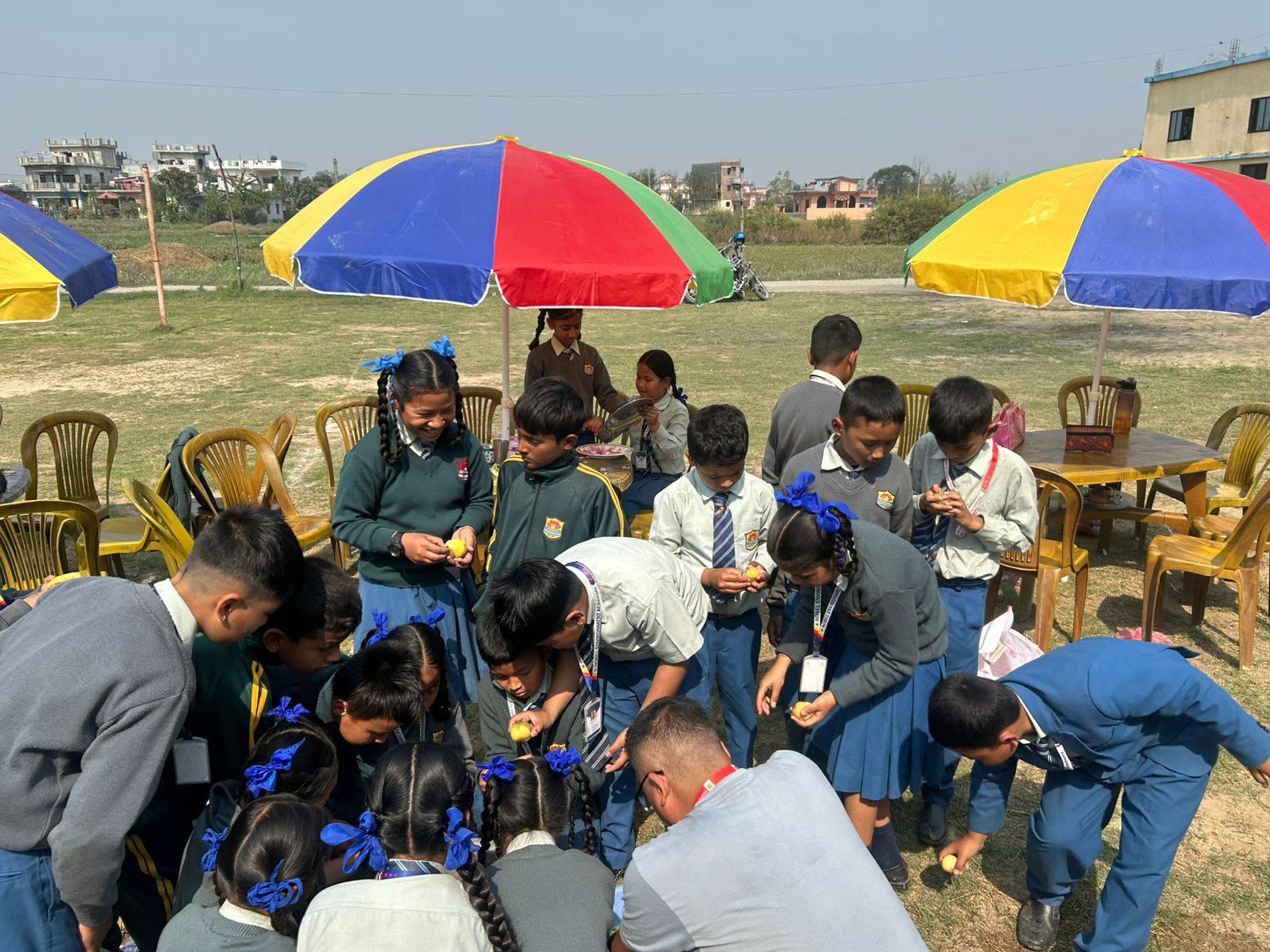 School Life - Activities