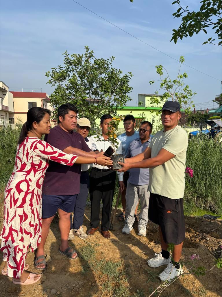 Tree Plantation Drive